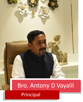 Bro. Antony D Vayalil Principal
