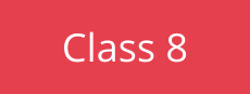 Class 8